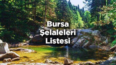 Bursa Şelaleleri Listesi – Bursa'da Gezilecek Şelaleler