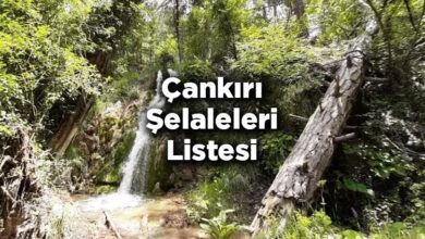 Çankırı Şelaleleri Listesi – Çankırı'da Gezilecek Şelaleler