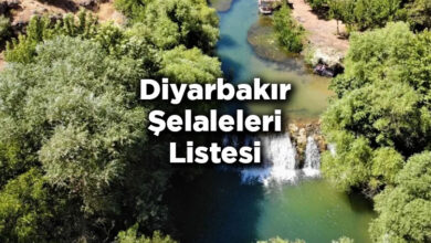 Diyarbakır Şelaleleri Listesi – Diyarbakır'da Gezilecek Şelaleler