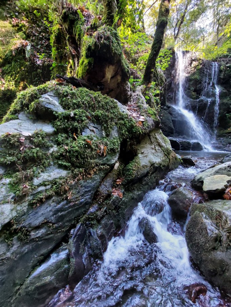 Göçmenin Şelalesi