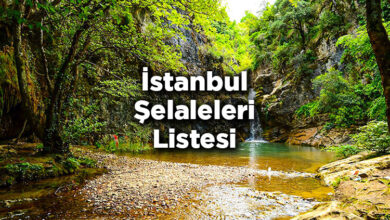 İstanbul Şelaleleri Listesi – İstanbul'da Gezilecek Şelaleler