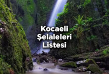 Kocaeli Şelaleleri Listesi – Kocaeli'de Gezilecek Şelaleler