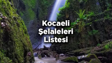 Kocaeli Şelaleleri Listesi – Kocaeli'de Gezilecek Şelaleler