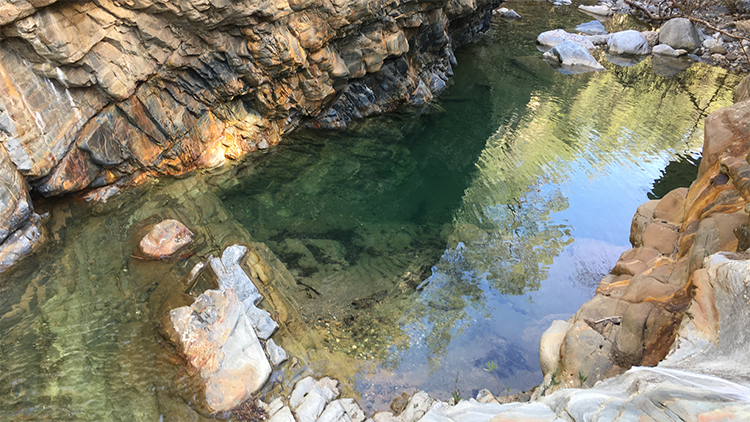 Körteke Kral Havuzu