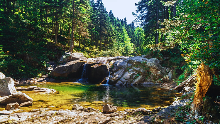 Softaboğan Şelalesi