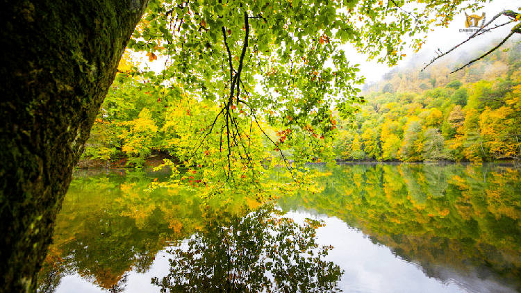 2026 Yılından İtibaren Geçerli Olacak